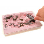 T-REX 3D – súprava na výkop Dinosaura